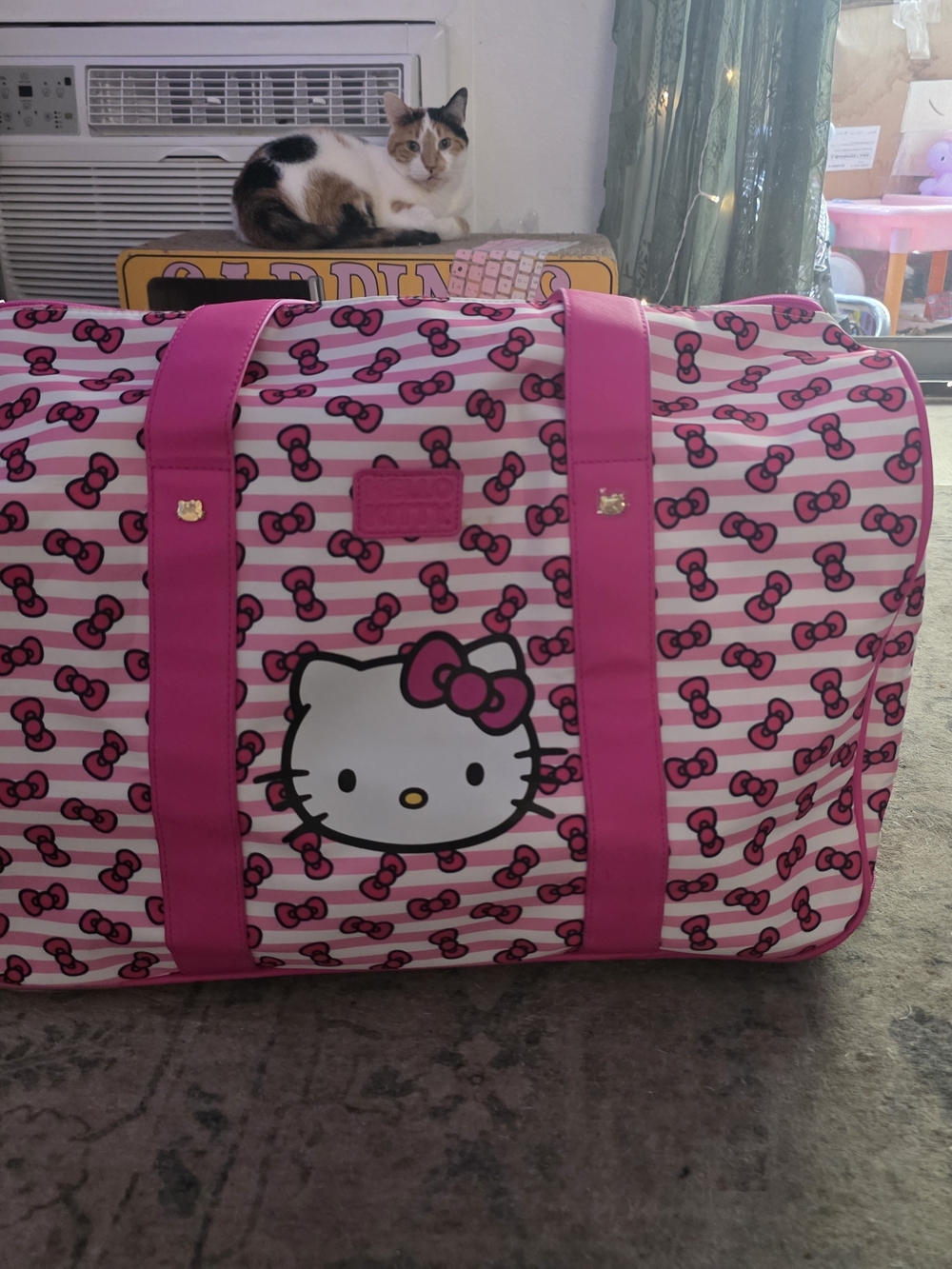 Hello Kitty Pink and White Striped Garment Bag with Bow Print